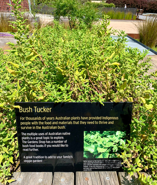 AUSTRALIAN NATIVE PLANT NURSERIES Natif Foods