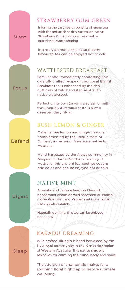 Native Tea Selection Australian Native Tea Sampler – Natif Foods